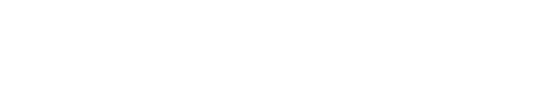 The Software Initiative